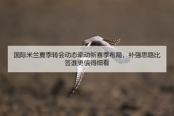 国际米兰夏季转会动态牵动新赛季布局，补强思路比签谁更值得细看